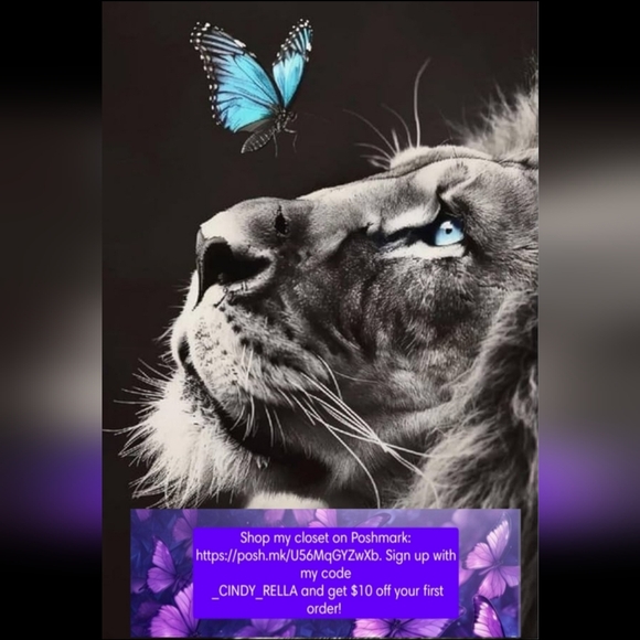 โก Ignore the closet price ! - Picture 4 of 4